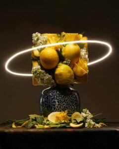 © Carl Doghouse - Square Cuts