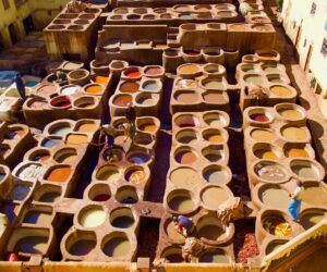 © Gwyneth Macaulay - Colour Palette