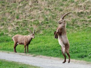 © Inna Alden - Just Look at Me!