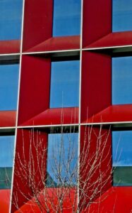 © Michael J Duke - Bare Tree and the Tower