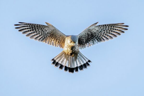 Speaker - Sam Matthews